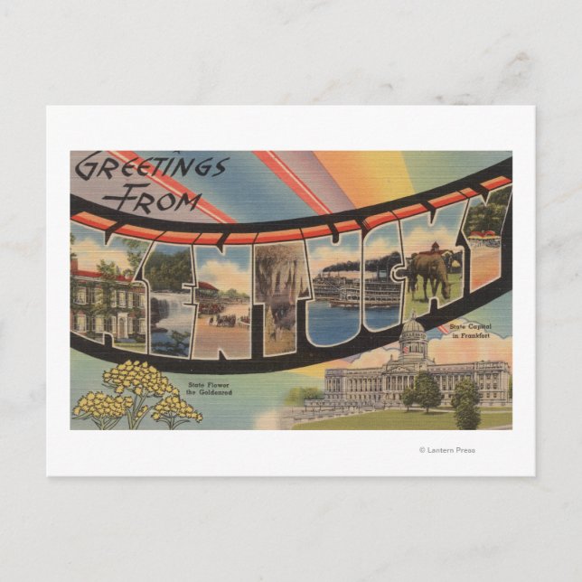 Kentucky (statligt kapital/blomma) vykort (Framsida)