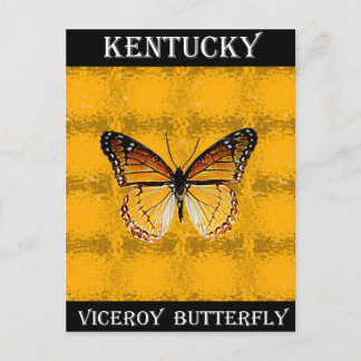 Kentucky Viceroy Butterfly Vykort