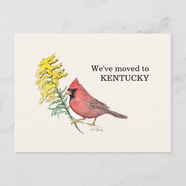 Kentucky Vykort (Framsida)