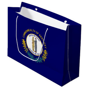Kentuckys statsflagga