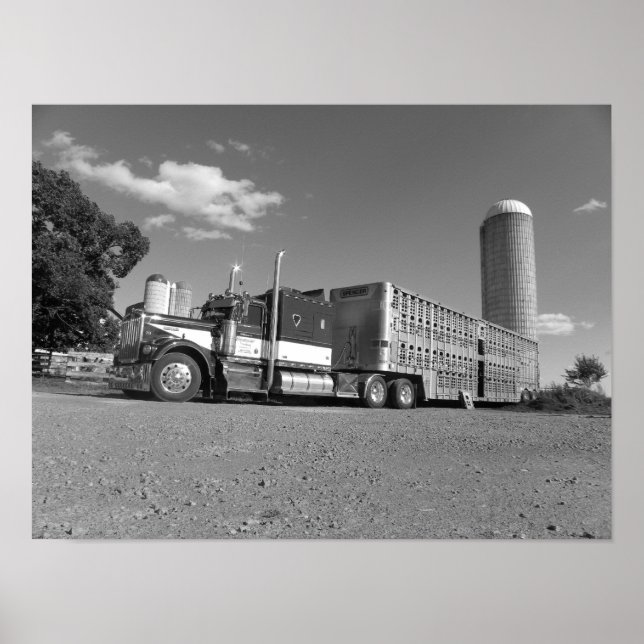 Kenworth A Model Livestock Hauler (svart och vitt) Poster (Framsidan)