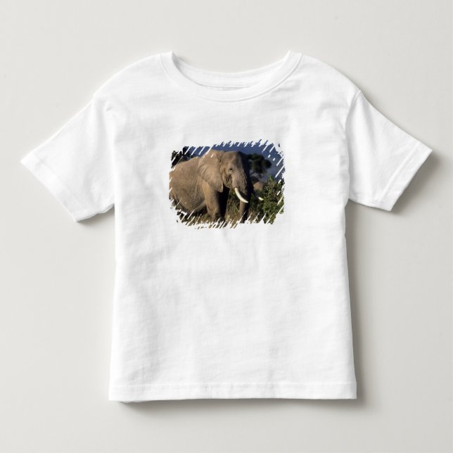 Kenya: Amboseli, manlig afrikansk elefant Tröja (Framsida)