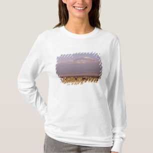 Kenya: Amboseli National Park, Elefanter T-shirt