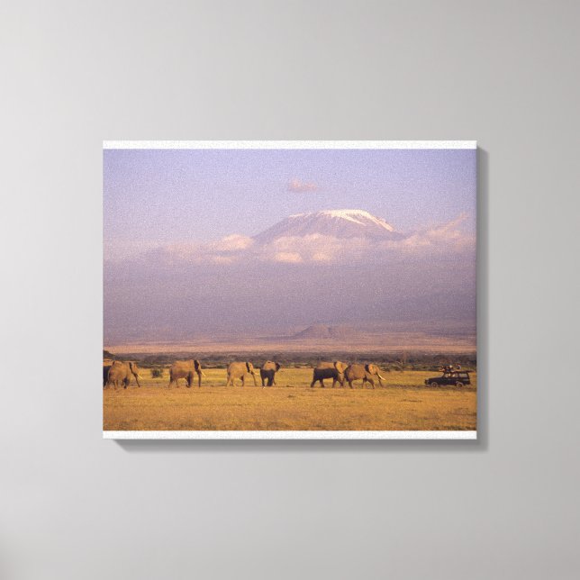 Kenya: Amboseli nationalpark, Elefanter Canvastryck (Framsida)