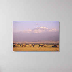 Kenya: Amboseli nationalpark, Elefanter Canvastryck