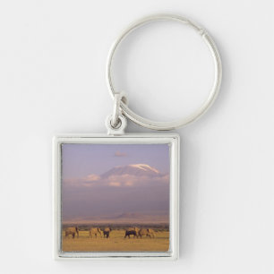 Kenya: Amboseli nationalpark, Elefanter Fyrkantig Silverfärgad Nyckelring