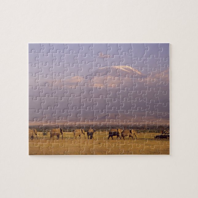 Kenya: Amboseli nationalpark, Elefanter Pussel (Horisontell)
