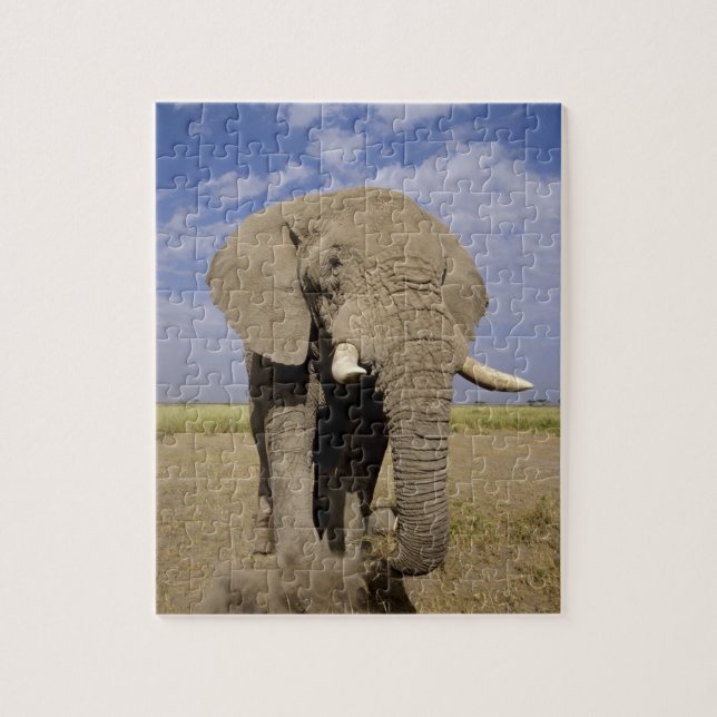 Kenya: Amboseli nationalpark, manlig elefant Pussel (Vertikal)