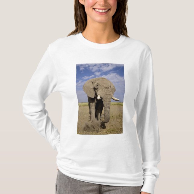 Kenya: Amboseli nationalpark, manlig elefant Tee (Framsida)