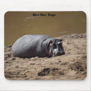 Kenya Hippo, Mara River Afrika Musmatta