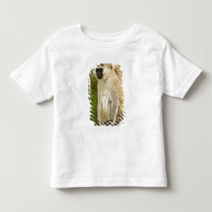Kenya, Lake Nakuru nationalpark. Vervet T-shirt