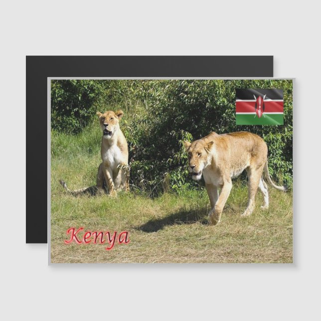 Kenya - Lionesser - (Fram/baksida)