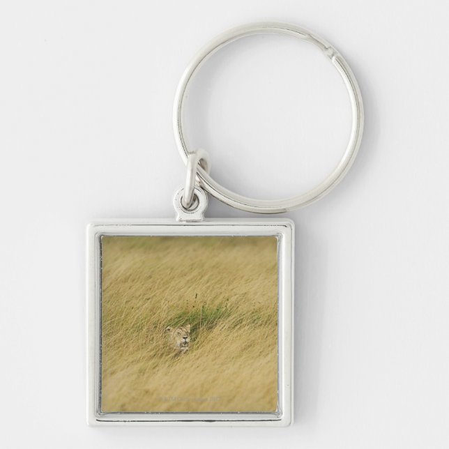 Kenya Masai Mara 2 Fyrkantig Silverfärgad Nyckelring (Framsidan)