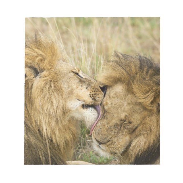 Kenya, Masai Mara Anteckningsblock (Framsida)