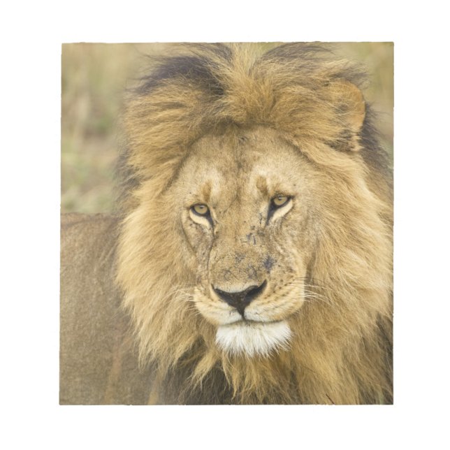 Kenya Masai Mara Anteckningsblock (Framsida)