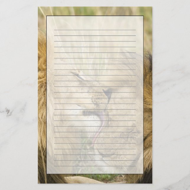 Kenya, Masai Mara Brevpapper (Framsida)