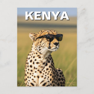 Kenya Masai Mara Cheetah med solglasögon Vykort