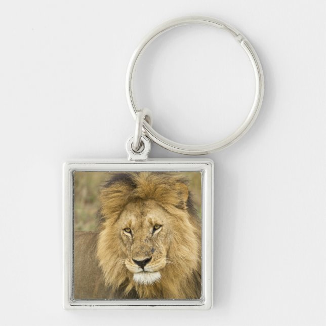 Kenya Masai Mara Fyrkantig Silverfärgad Nyckelring (Framsidan)