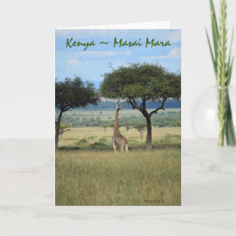 Kenya Masai Mara Giraffe Kort