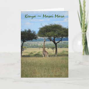 Kenya Masai Mara Giraffe Kort