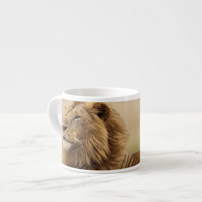 Kenya, Masai Mara | Manlig Lejon Espressomugg (Framsida vänster)