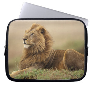 Kenya, Masai Mara   Manlig Lejon Laptop Sleeve
