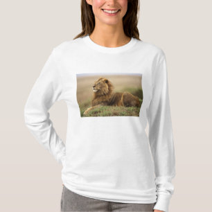 Kenya, Masai Mara Manlig Lejon Tröja