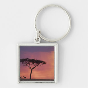 Kenya: Masai Mara nationalpark, Solnedgång. Fyrkantig Silverfärgad Nyckelring