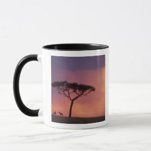 Kenya: Masai Mara nationalpark, Solnedgång. Mugg