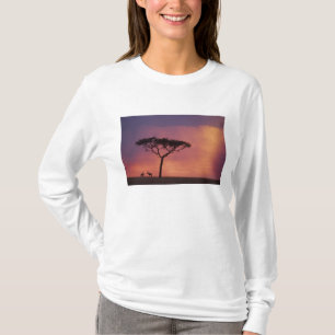 Kenya: Masai Mara nationalpark, Solnedgång. Tee Shirt