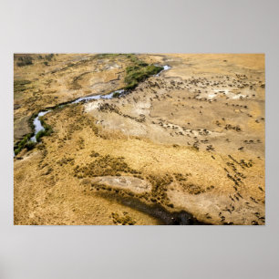 Kenya: Masai Mara Nationalreservat, Mara Poster