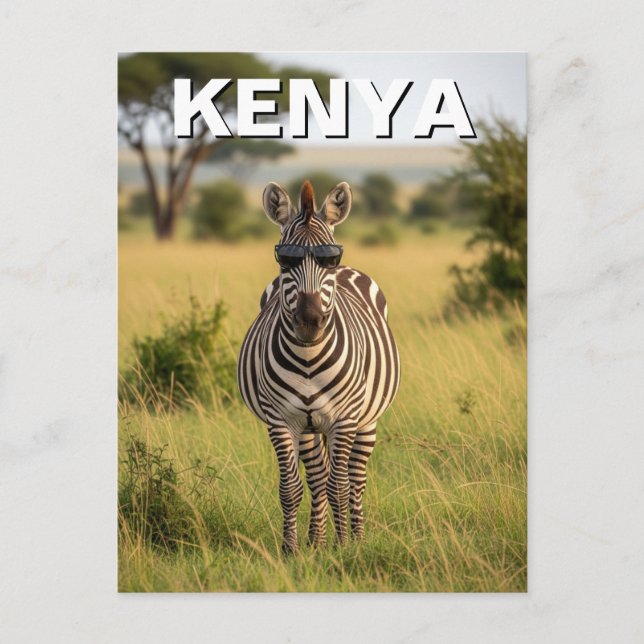 Kenya Masai Mara Zebra med solglasögon Vykort (Framsida)