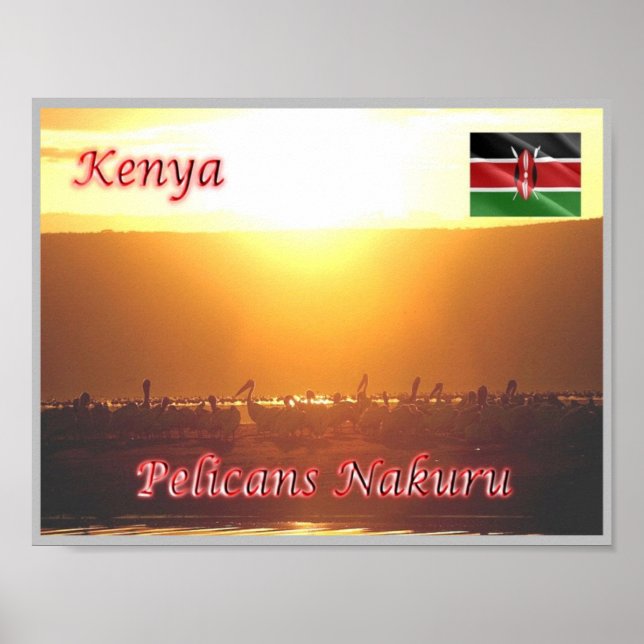 Kenya - Pelicans Nakuru - Poster (Framsidan)