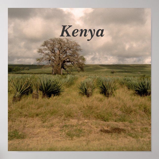 Kenya Poster (Framsidan)