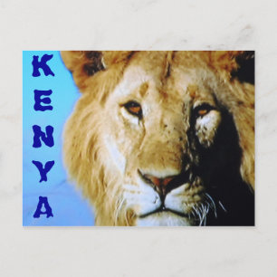 Kenya safari vykort