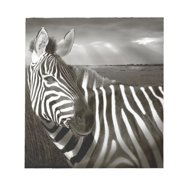Kenya. Svart & vitt av zebra och slätt. Anteckningsblock (Framsida)
