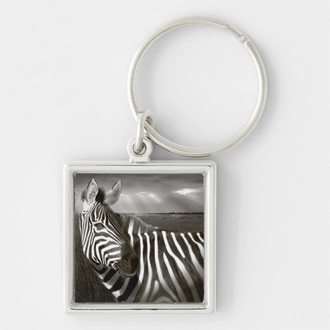 Kenya. Svart & vitt av zebra och slätt. Fyrkantig Silverfärgad Nyckelring (Framsidan)