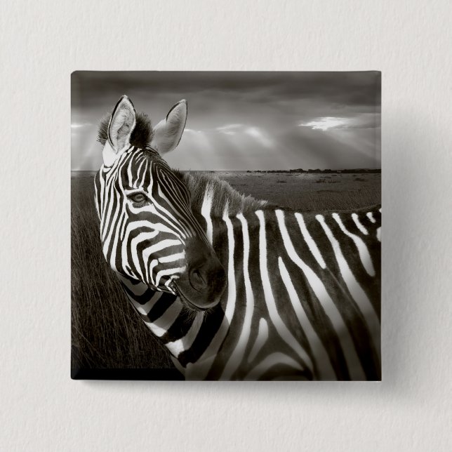 Kenya. Svart & vitt av zebra och slätt. Knapp (Framsida)