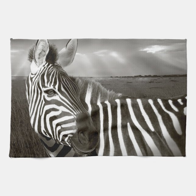 Kenya. Svart & vitt av zebra och slätt. Kökshandduk (Horisontell)