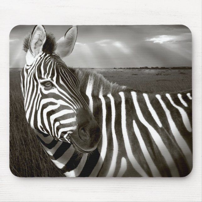 Kenya. Svart & vitt av zebra och slätt. Musmatta (Framsidan)
