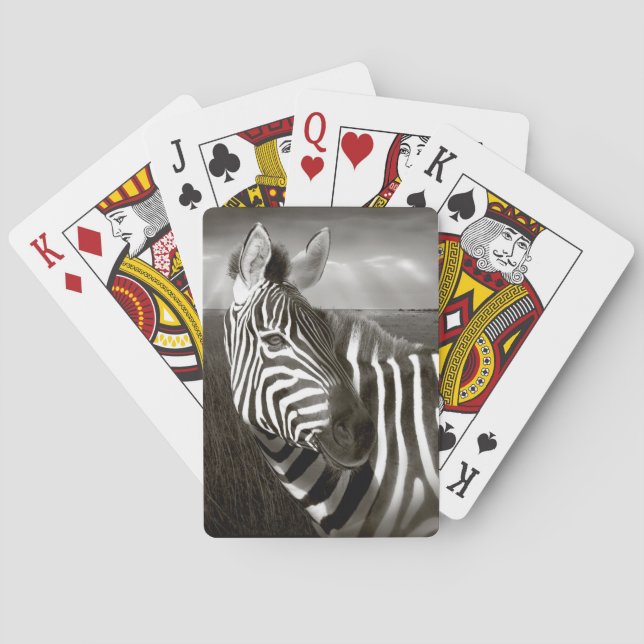 Kenya. Svart & vitt av zebra och slätt. Spelkort (Baksidan)