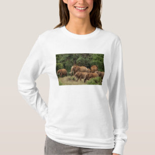 Kenya: Tsavo East National Park, flock afrikanska T Shirt