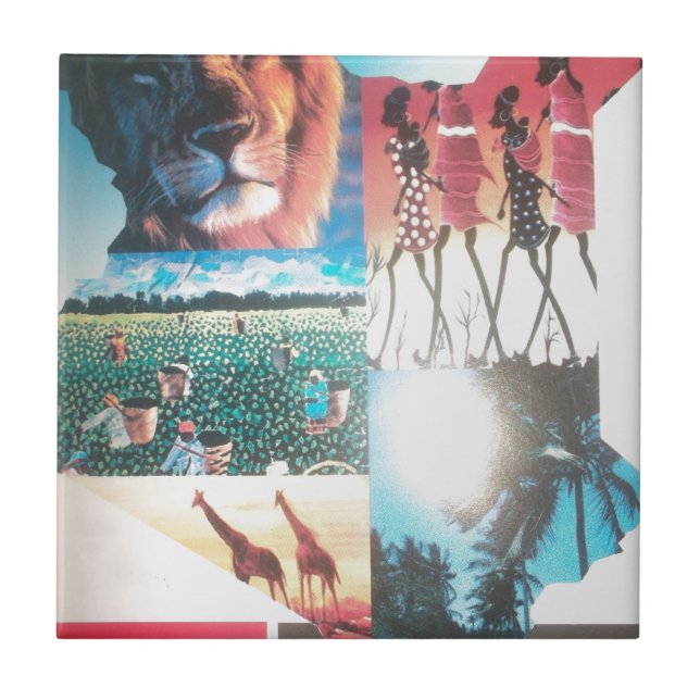 Kenyansk teaterindustri: Wildlife, Culture and Coa Kakelplatta (Framsidan)