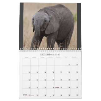 Kenyas 5-kalender kalender