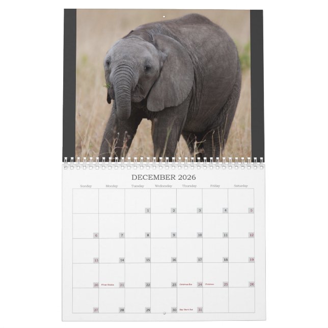Kenyas 5-kalender kalender (Dec 2026)