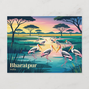 Keoladeo nationalpark Indien Vykort