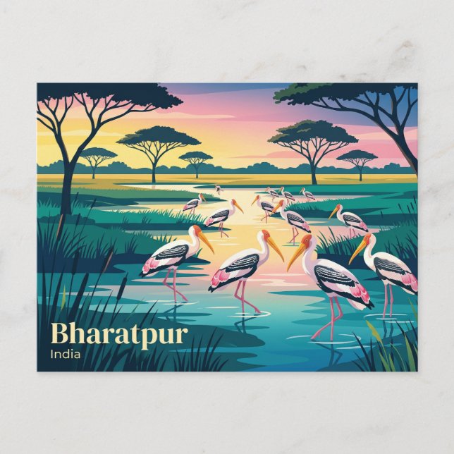 Keoladeo nationalpark Indien Vykort (Framsida)