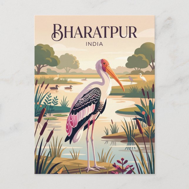 Keoladeo nationalpark Indien Vykort (Framsida)