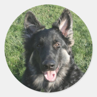 Kepler Runt Klistermärke