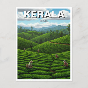 Kerala India Tea Plantation Vykort